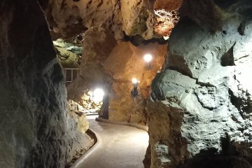 Školní výlet-Zbrašovské jeskyně a hrad Helfštýn