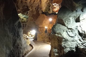 Školní výlet-Zbrašovské jeskyně a hrad Helfštýn