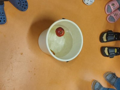 Pokus - plave jablko?
Proč?