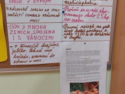 Práce s textem: 
VÍM - NEVÍM