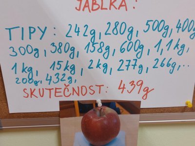 Odhad hmotnosti největšího jablka ve třídě.