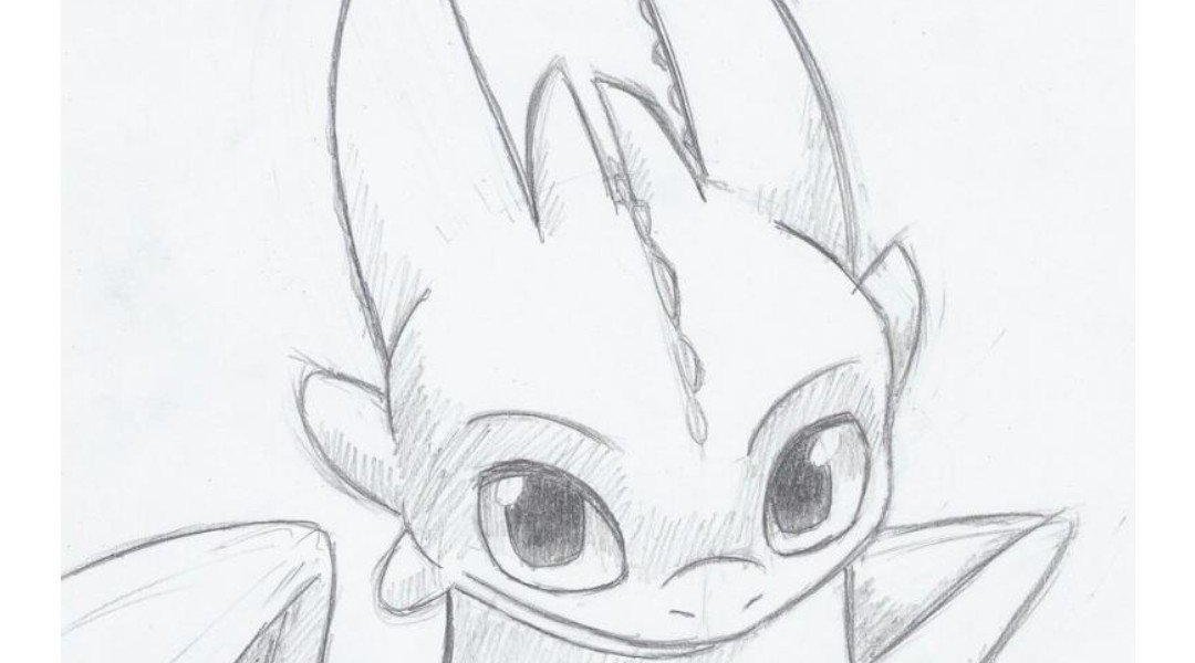 Draci roku 2024/25
