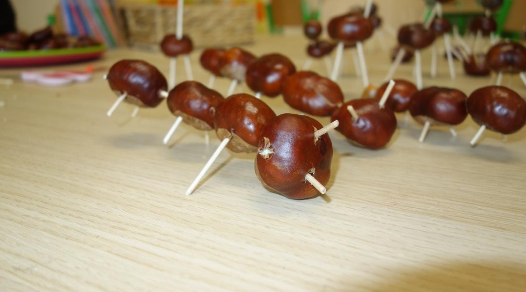Říjen - plody Země